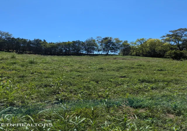 Photo 4 of Land for sale at 10816 Richland Rd #24-89, Mascot, TN 37806 | MLS# 1356817 | Listing updated on 2026-09-25