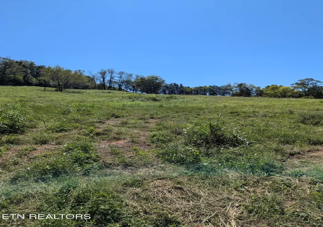 Photo 1 of Land for sale at 0000 Richland Rd, Mascot, TN 37806 | MLS# 1356815 | Listing updated on 2026-09-25