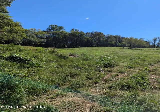 Photo 3 of Land for sale at 0000 Richland Rd, Mascot, TN 37806 | MLS# 1356815 | Listing updated on 2026-09-25