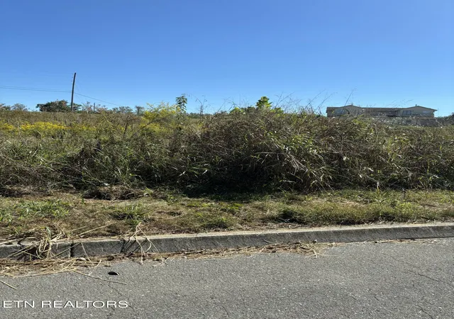 Photo 2 of Land for sale at Business Ctr Cir, Sevierville, TN 37876 | MLS# 1357155 | Listing updated on 2026-09-29