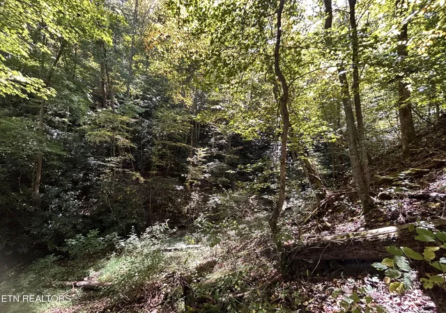 Photo 1 of Land for sale at 433 Steve Brown Rd, Bean Station, TN 37708 | MLS# 1358089 | Listing updated on 2026-10-07