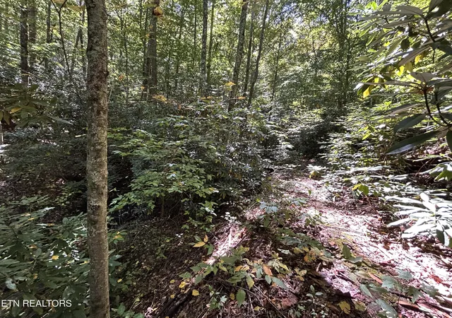 Photo 2 of Land for sale at 433 Steve Brown Rd, Bean Station, TN 37708 | MLS# 1358089 | Listing updated on 2026-10-07