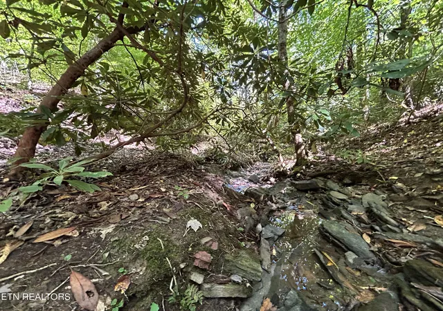 Photo 3 of Land for sale at 433 Steve Brown Rd, Bean Station, TN 37708 | MLS# 1358089 | Listing updated on 2026-10-07