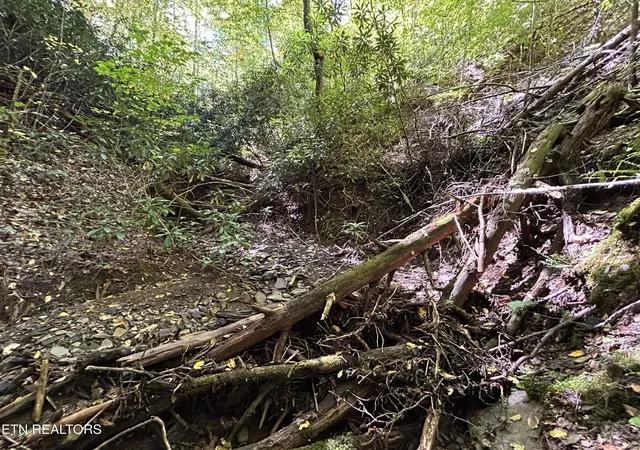 Photo 4 of Land for sale at 433 Steve Brown Rd, Bean Station, TN 37708 | MLS# 1358089 | Listing updated on 2026-10-07