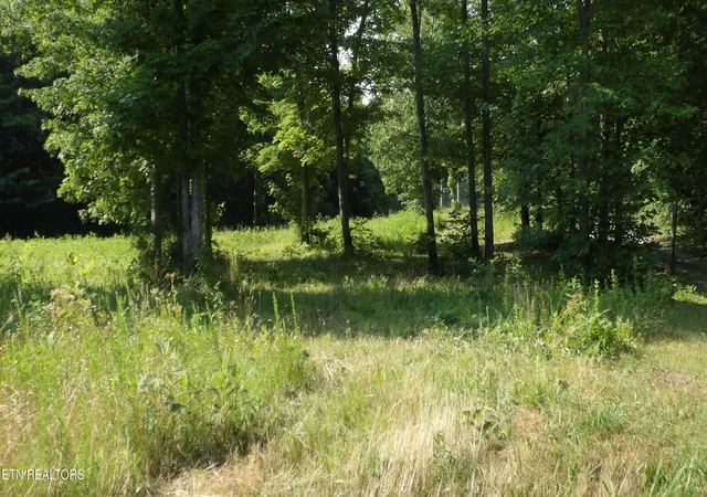 Photo 1 of Land for sale at 580 Pleasant Cemetery Ln, Gainesboro, TN 38562 | MLS# 1358138 | Listing updated on 2026-10-07