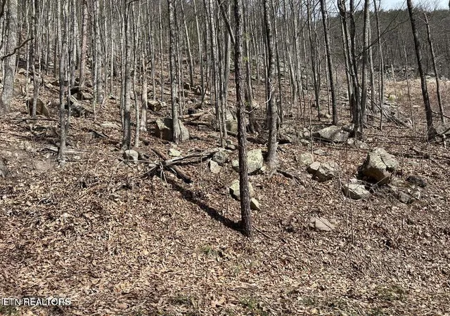 Photo 1 of Land for sale at Clingmans View #18, Sevierville, TN 37876 | MLS# 1358622 | Listing updated on 2026-10-12