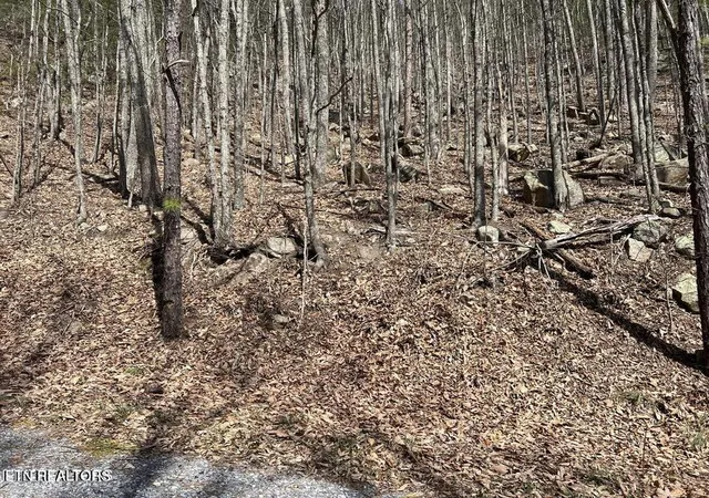 Photo 2 of Land for sale at Clingmans View #18, Sevierville, TN 37876 | MLS# 1358622 | Listing updated on 2026-10-12