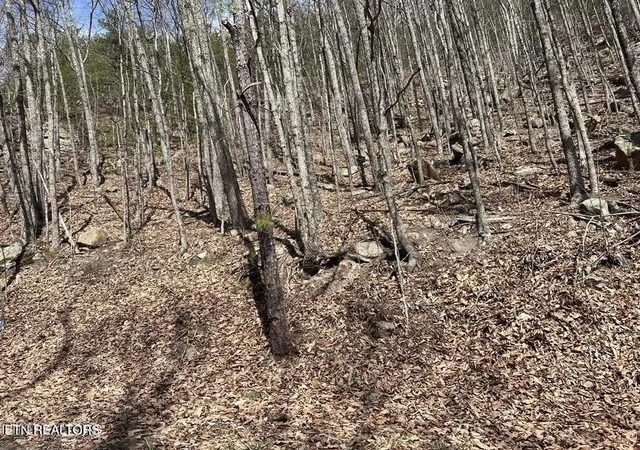Photo 3 of Land for sale at Clingmans View #18, Sevierville, TN 37876 | MLS# 1358622 | Listing updated on 2026-10-12