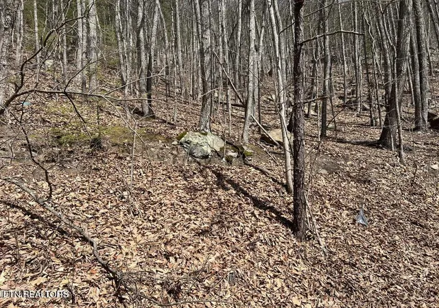 Photo 4 of Land for sale at Clingmans View #18, Sevierville, TN 37876 | MLS# 1358622 | Listing updated on 2026-10-12