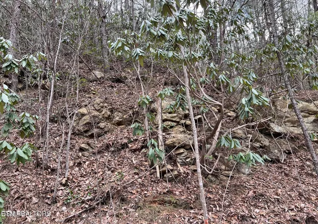 Photo 4 of Land for sale at John Sevier Dr #10, Sevierville, TN 37876 | MLS# 1358625 | Listing updated on 2026-10-12
