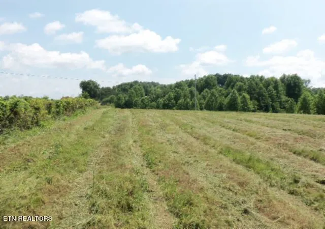 Photo 3 of Land for sale at 573ac Mate Allen Rd, Gainesboro, TN 38562 | MLS# 1358844 | Listing updated on 2026-10-16