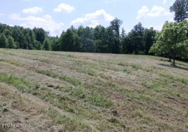 Photo 4 of Land for sale at 573ac Mate Allen Rd, Gainesboro, TN 38562 | MLS# 1358844 | Listing updated on 2026-10-16