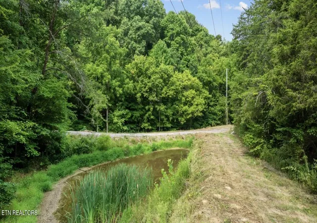 Photo 4 of Land for sale at 2345 Paradise Way, Sevierville, TN 37876 | MLS# 1359197 | Listing updated on 2026-10-16
