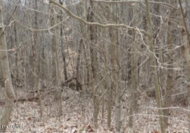 Photo 3 of Land for sale at 551ac Beaver Ln, Gainesboro, TN 38562 | MLS# 1359014 | Listing updated on 2026-10-15