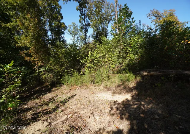 Photo 1 of Land for sale at Brotherton Rd, Jefferson City, TN 37760 | MLS# 1360023 | Listing updated on 2026-10-25