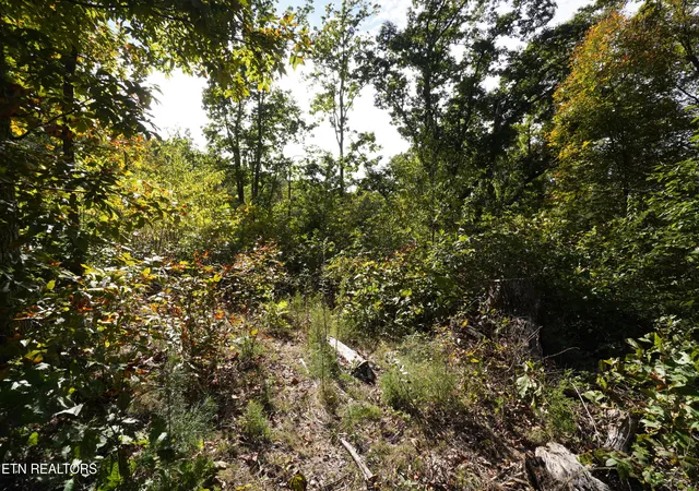 Photo 2 of Land for sale at Brotherton Rd, Jefferson City, TN 37760 | MLS# 1360023 | Listing updated on 2026-10-25