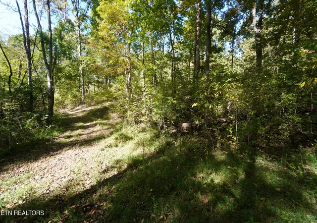 Photo 3 of Land for sale at Brotherton Rd, Jefferson City, TN 37760 | MLS# 1360023 | Listing updated on 2026-10-25