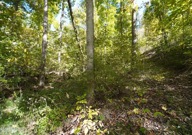 Photo 4 of Land for sale at Brotherton Rd, Jefferson City, TN 37760 | MLS# 1360023 | Listing updated on 2026-10-25