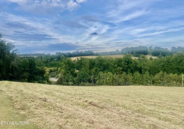 Photo 1 of Land for sale at Freeman Rd, Tazewell, TN 37879 | MLS# 1359342 | Listing updated on 2026-10-19