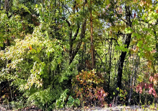 Photo 1 of Land for sale at Lot 90 Mountain Blvd, Sevierville, TN 37876 | MLS# 1359561 | Listing updated on 2026-10-23