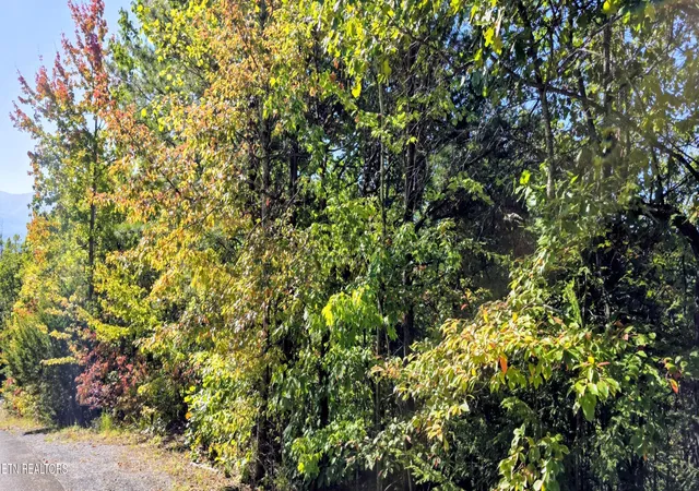 Photo 2 of Land for sale at Lot 90 Mountain Blvd, Sevierville, TN 37876 | MLS# 1359561 | Listing updated on 2026-10-23
