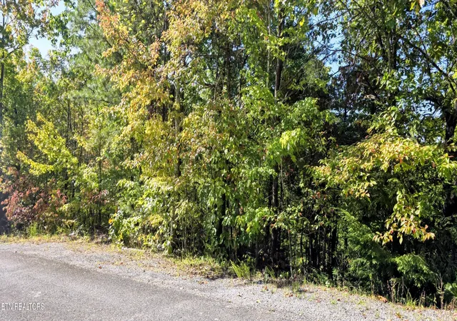 Photo 4 of Land for sale at Lot 90 Mountain Blvd, Sevierville, TN 37876 | MLS# 1359561 | Listing updated on 2026-10-23