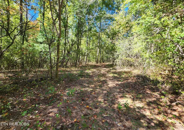 Photo 3 of Land for sale at S Chamberlain Ave, Rockwood, TN 37854 | MLS# 1359950 | Listing updated on 2026-10-24