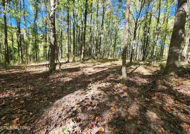 Photo 4 of Land for sale at S Chamberlain Ave, Rockwood, TN 37854 | MLS# 1359950 | Listing updated on 2026-10-24