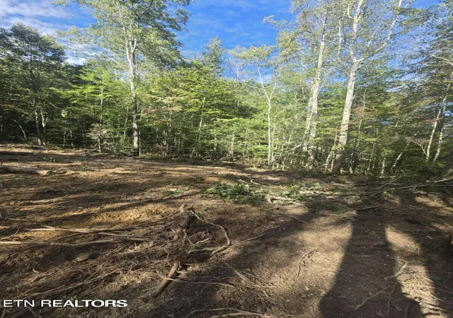 Photo 2 of Land for sale at 176 Fox Ln, Mooresburg, TN 37811 | MLS# 1359937 | Listing updated on 2026-10-24