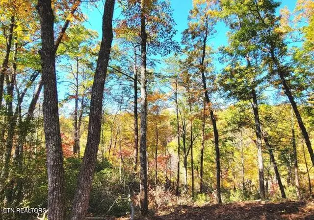 Photo 1 of Land for sale at Riversong Ridge Way, Sevierville, TN 37876 | MLS# 1359989 | Listing updated on 2026-10-24
