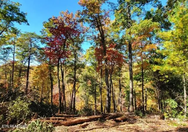 Photo 3 of Land for sale at Riversong Ridge Way, Sevierville, TN 37876 | MLS# 1359989 | Listing updated on 2026-10-24