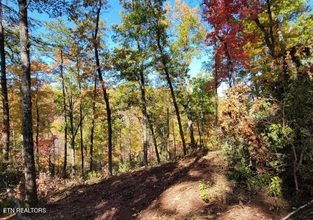 Photo 4 of Land for sale at Riversong Ridge Way, Sevierville, TN 37876 | MLS# 1359989 | Listing updated on 2026-10-24
