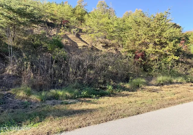 Photo 1 of Land for sale at Lot 97r Marina Landing Rd, Tazewell, TN 37879 | MLS# 1360250 | Listing updated on 2026-10-28