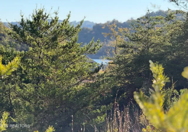 Photo 2 of Land for sale at Lot 97r Marina Landing Rd, Tazewell, TN 37879 | MLS# 1360250 | Listing updated on 2026-10-28