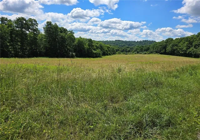 Photo 1 of Land for sale at 0 Borovick Rd, Sligo, PA 16255 | MLS# 1729017 | Listing updated on 2026-09-09
