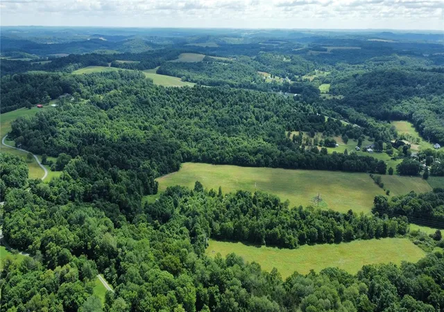 Photo 4 of Land for sale at 0 Borovick Rd, Sligo, PA 16255 | MLS# 1729017 | Listing updated on 2026-09-09