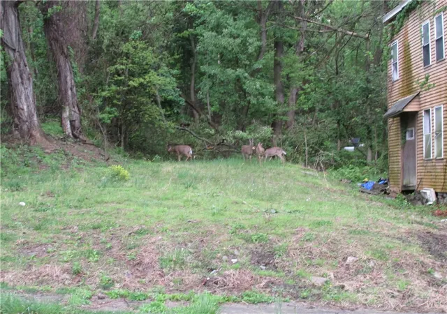 Photo 2 of Land for sale at 1312 Everett St, Pittsburgh, PA 15221 | MLS# 1751754 | Listing updated on 2026-10-19