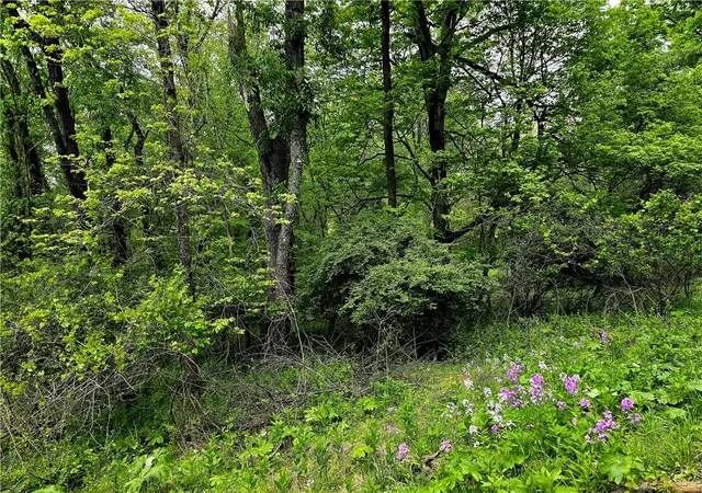 Photo 3 of Land for sale at Lot 136 Brokers Ln, Penn, PA 15675 | MLS# 1754850 | Listing updated on 2026-09-03
