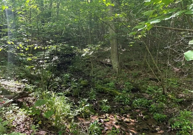 Photo 2 of Land for sale at 000 Fowl Hl Rd, Saltlick Twp, PA 15462 | MLS# 1760309 | Listing updated on 2026-09-05