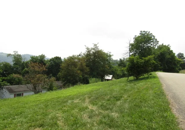 Photo 2 of Land for sale at 732 7th Street, Marianna Boro, PA 15345 | MLS# 1764292 | Listing updated on 2026-10-02