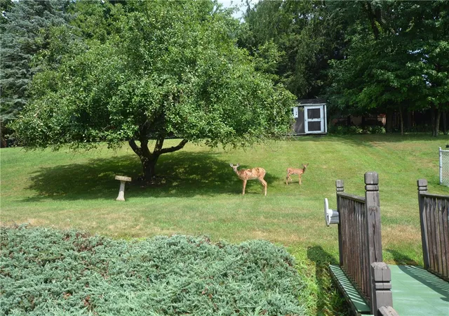 Photo 50 of Single family home for sale at 144 Elmwood Dr, Shaler, PA 15116 | MLS# 1766230 | Listing updated on 2026-09-12