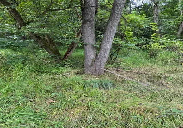 Photo 1 of Land for sale at 550 Cove Rd, South Franklin, PA 15301 | MLS# 1766706 | Listing updated on 2026-09-11