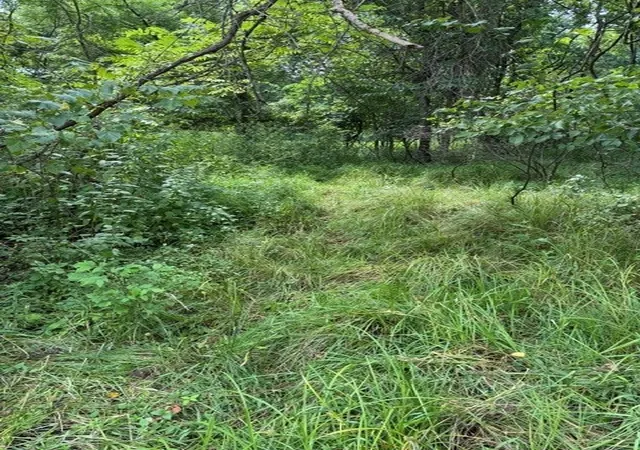 Photo 2 of Land for sale at 550 Cove Rd, South Franklin, PA 15301 | MLS# 1766706 | Listing updated on 2026-09-11