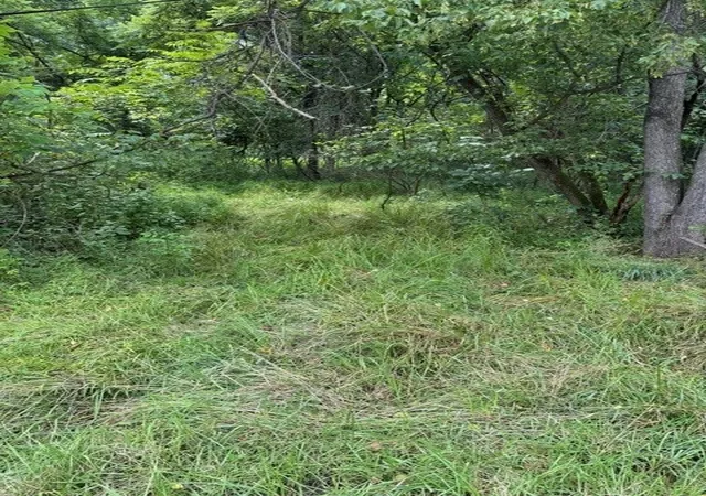 Photo 3 of Land for sale at 550 Cove Rd, South Franklin, PA 15301 | MLS# 1766706 | Listing updated on 2026-09-11
