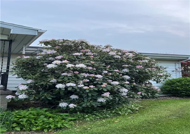 Photo 2 of Single family home for sale at 1416 Hawthorne St, Connellsville, PA 15425 | MLS# 1769476 | Listing updated on 2026-09-08