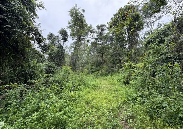 Photo 4 of Land for sale at 1258 Covert Rd, Union Twp, PA 16101 | MLS# 1769394 | Listing updated on 2026-09-08