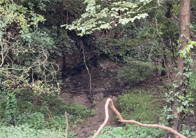 Photo 9 of Land for sale at 1258 Covert Rd, Union Twp, PA 16101 | MLS# 1769394 | Listing updated on 2026-09-08