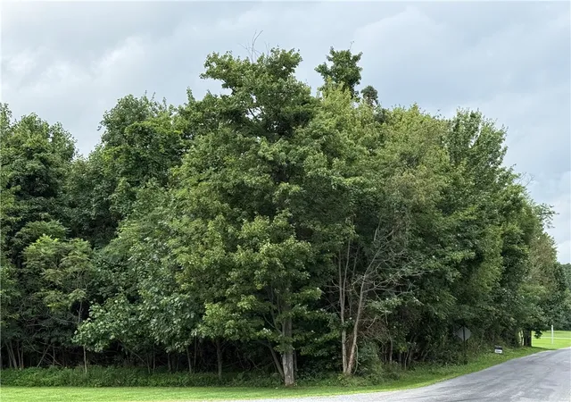 Photo 3 of Land for sale at 000 Shellbark Rd, E/w Wheatfield Twp, PA 15920 | MLS# 1769838 | Listing updated on 2026-09-04