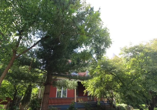 Single family home for sale at 5546 Hays St, East Liberty, PA 15206 | MLS# 1772256
