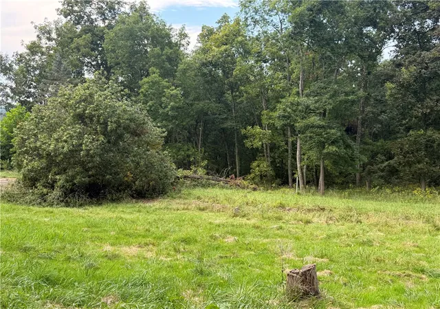 Photo 3 of Land for sale at 219 Dobbie Ln, West Bethlehem, PA 15345 | MLS# 1772535 | Listing updated on 2026-09-11